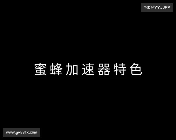 解读蜜蜂加速器特色